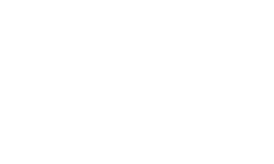 Carrier