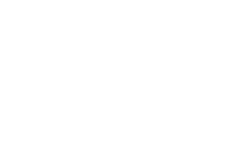 Insinerator